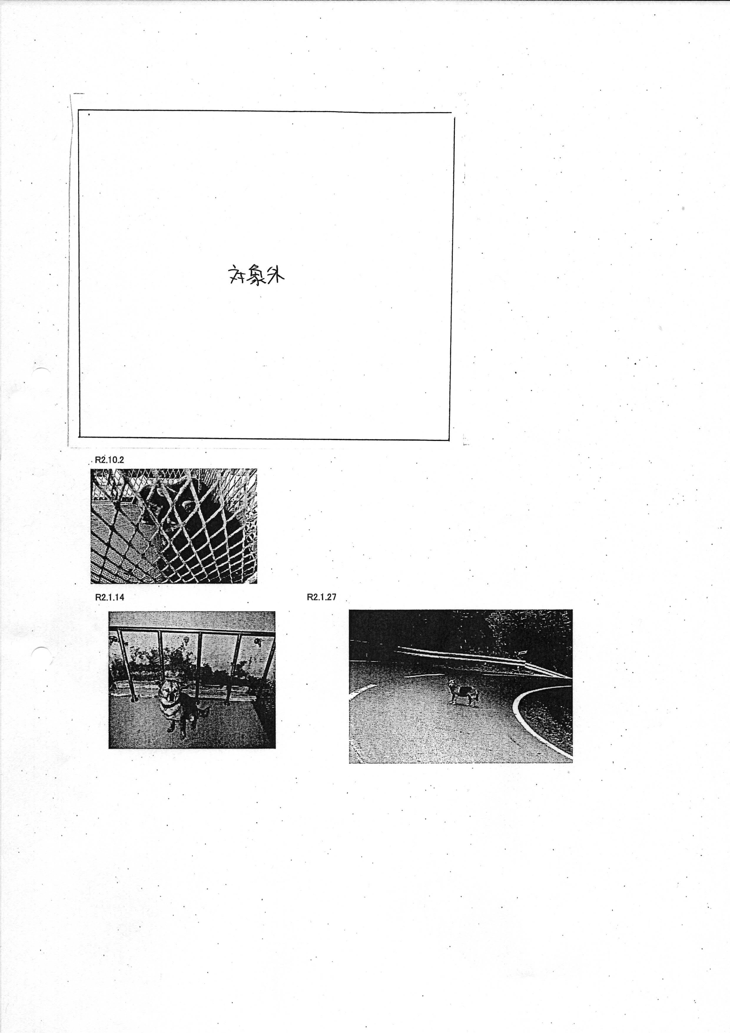 令和2年4月8日-令和3年1月14日-浄瑠璃寺野犬について（写真）