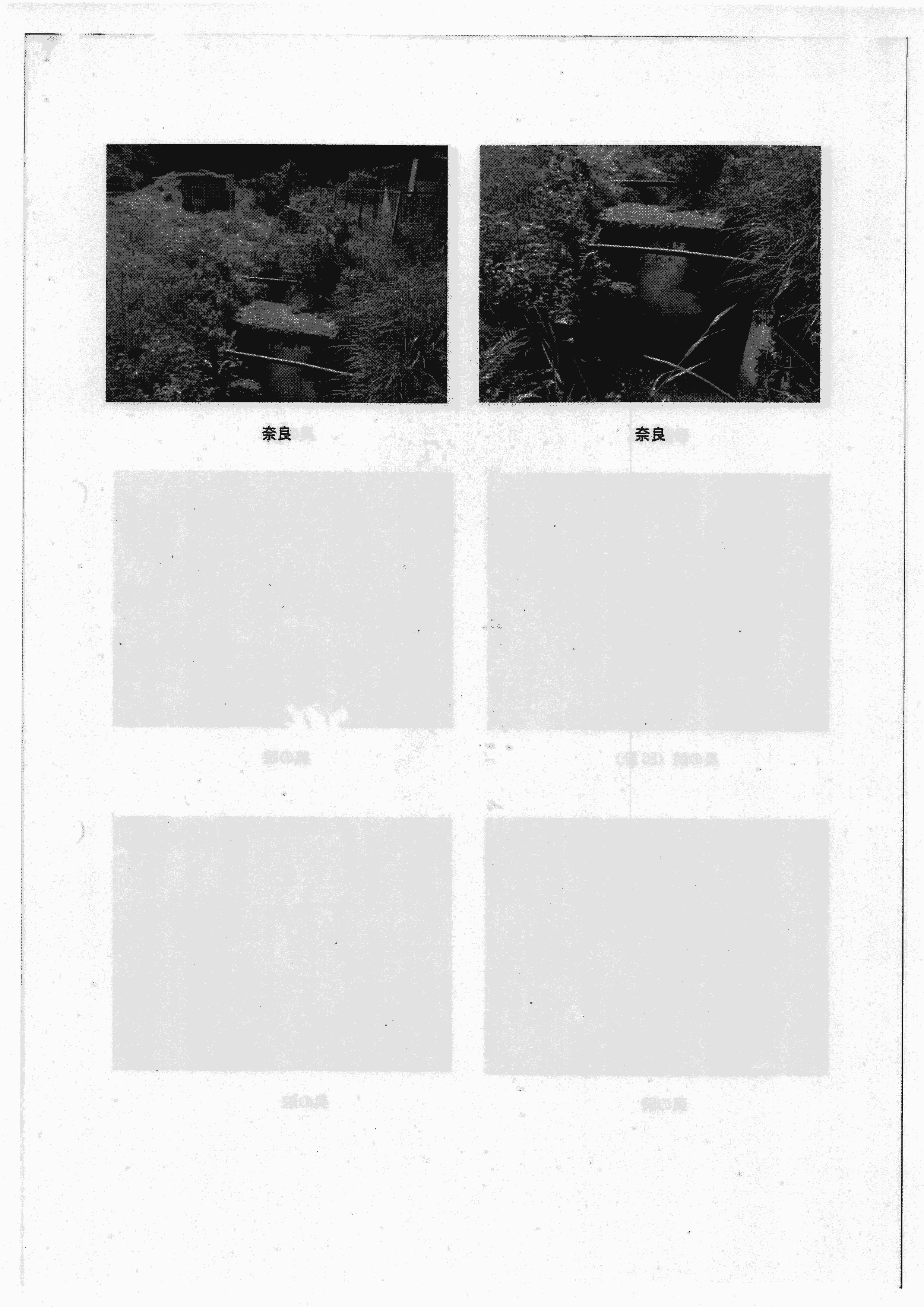 令和6(2024)年5月17日 赤田川の現地確認について-06