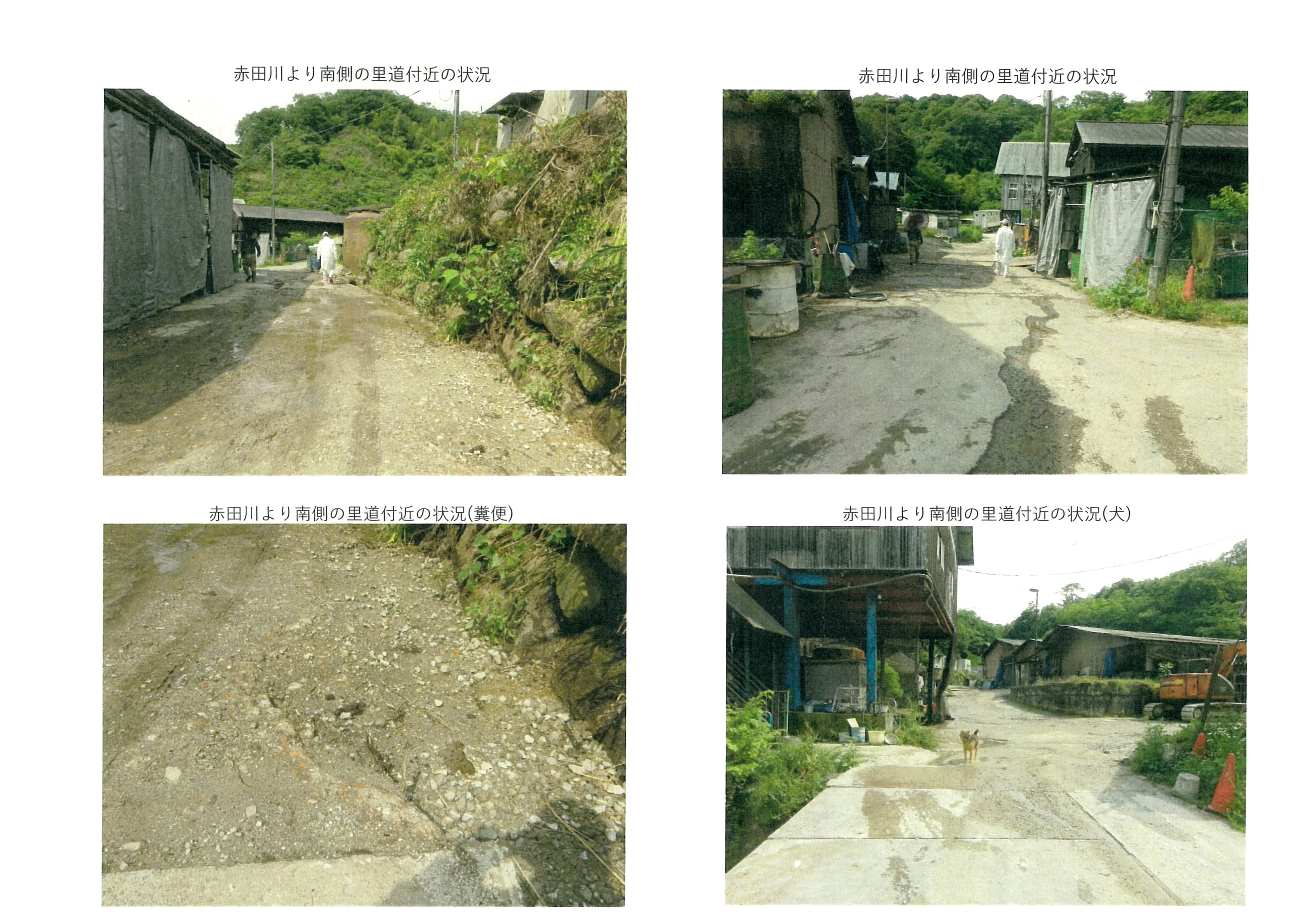 令和7年(2025)6月12日 市道加2092号線現地確認-03