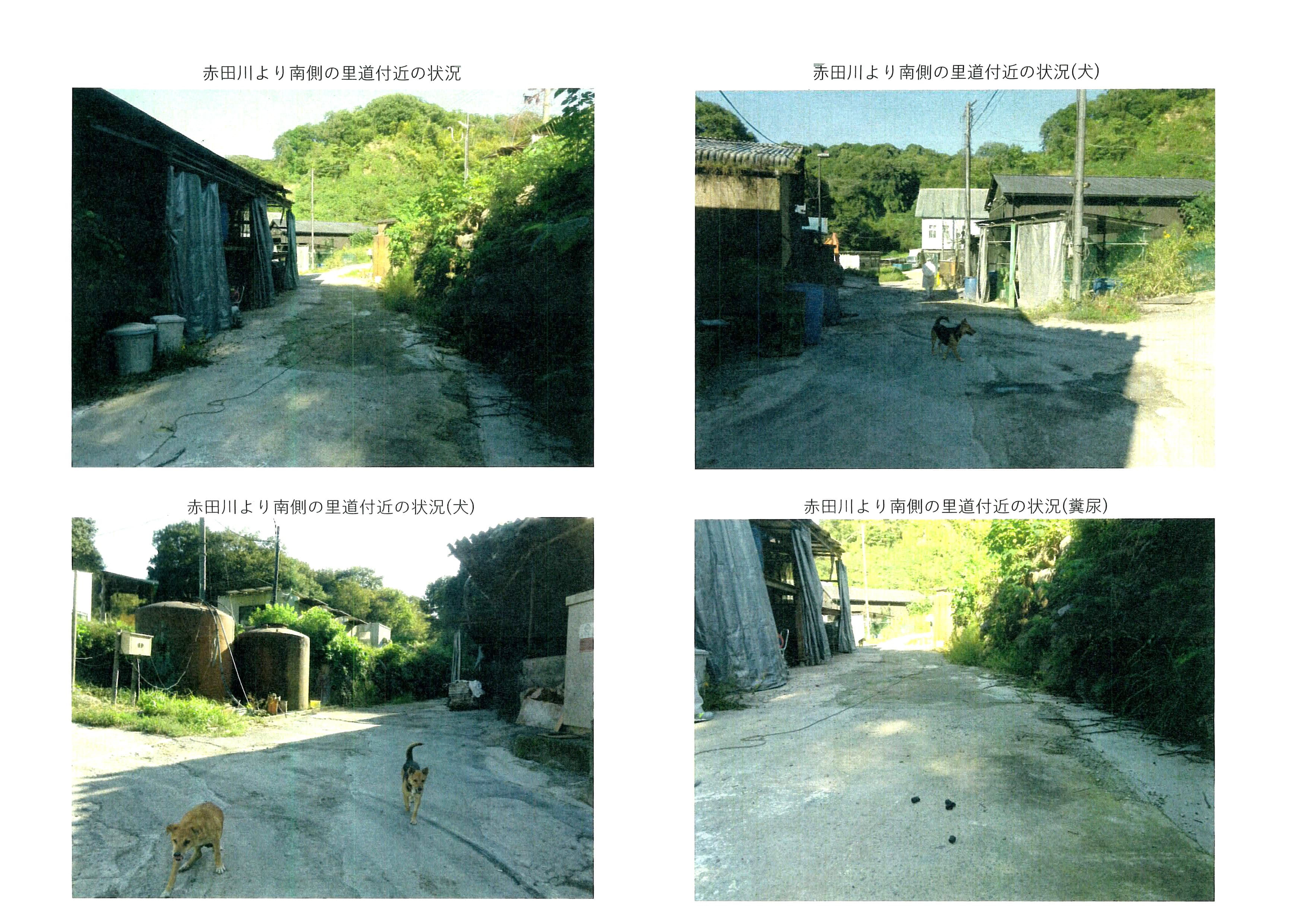 令和7年(2025)10月17日 市道加2092号線現地確認-03