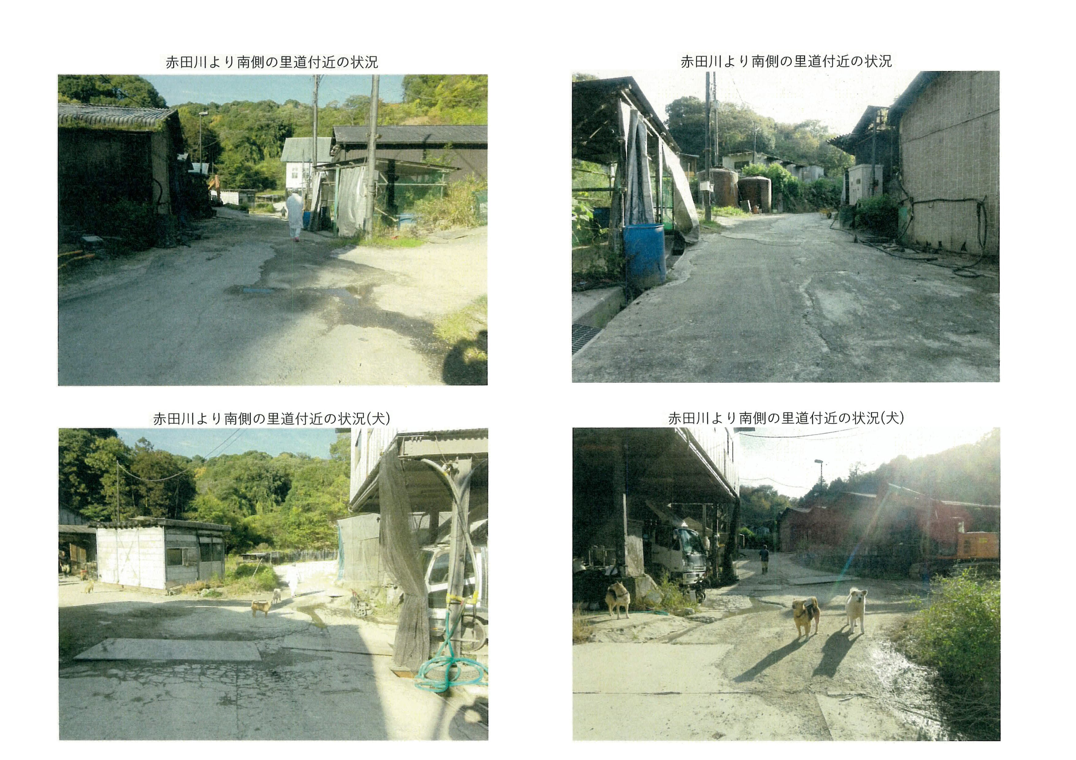 令和7年(2025)11月17日 市道加2092号線現地確認-03