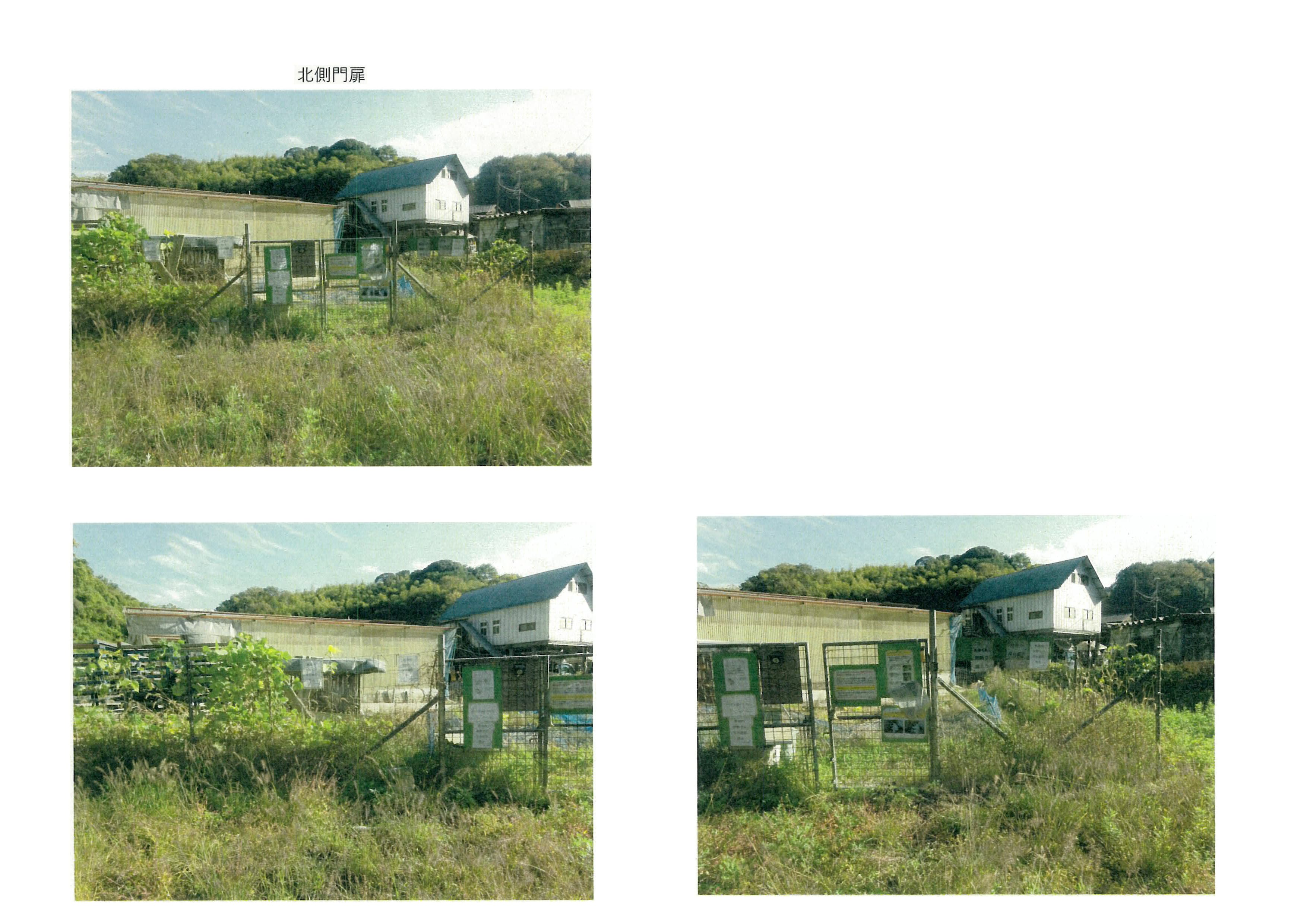 令和7年(2025)11月17日 市道加2092号線現地確認-05