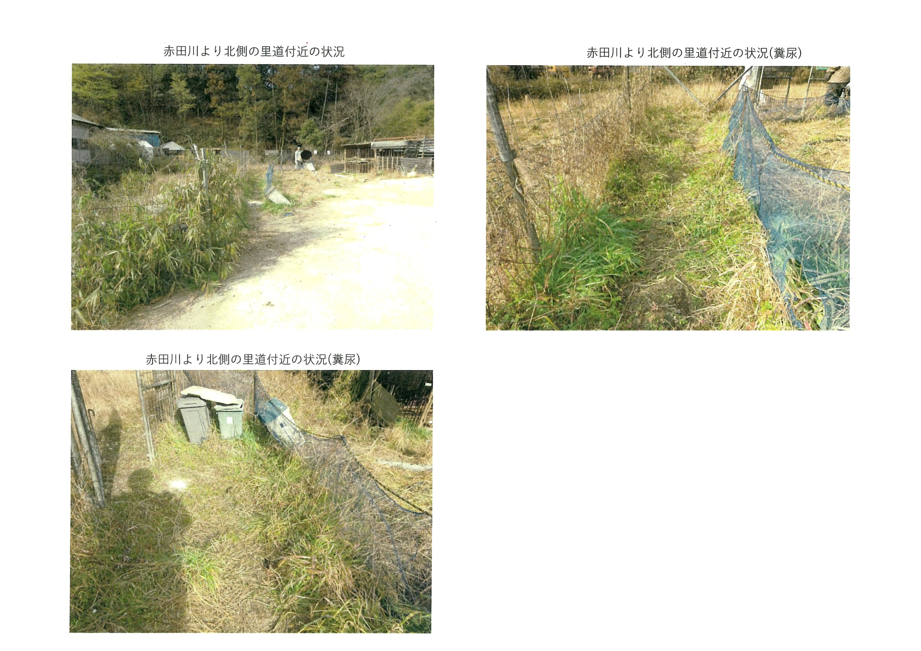 令和8年(2026)1月19日 市道加2092号線現地確認及び門扉の撤去指導-04