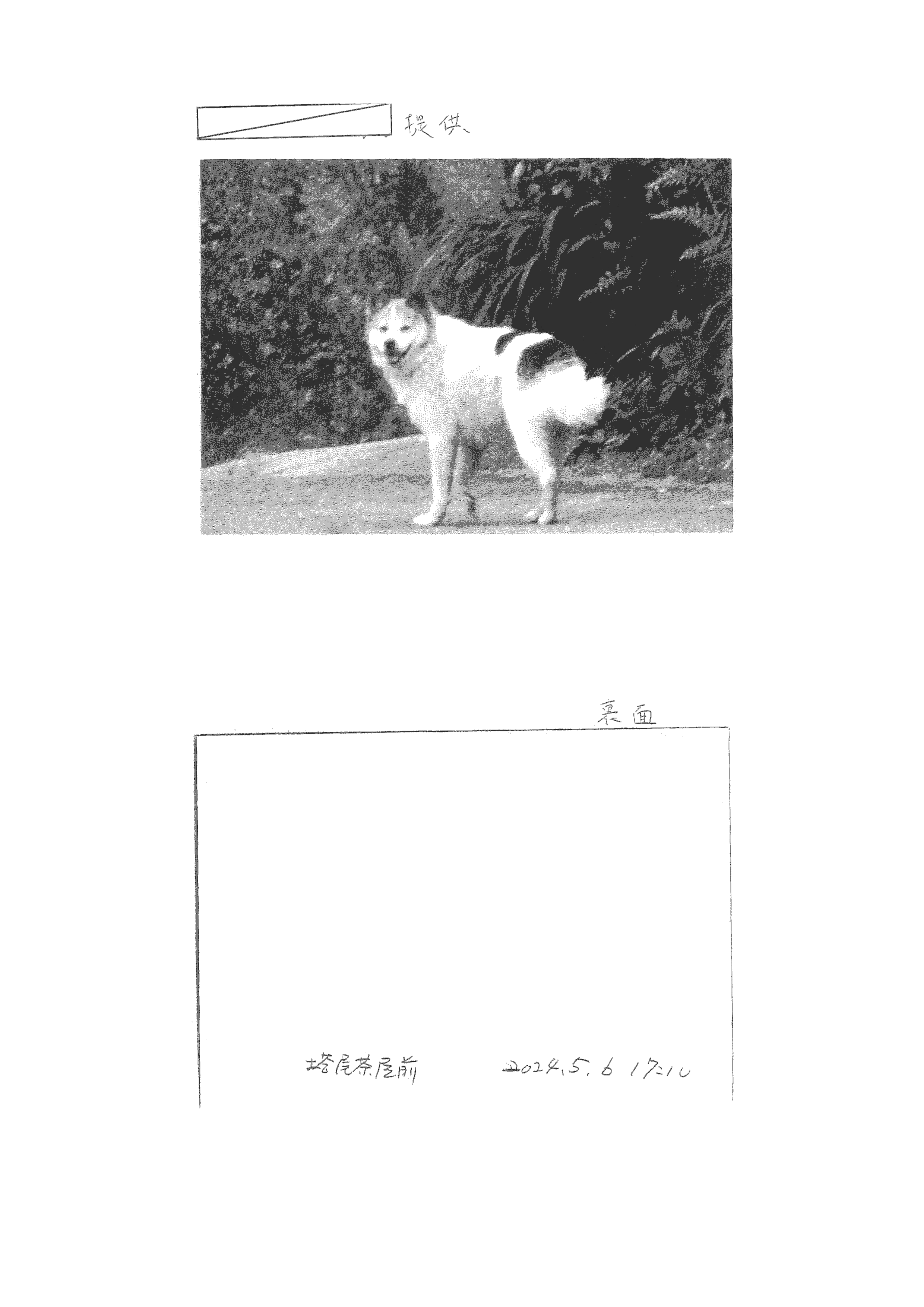令和6年5月7日-動物苦情処理票-02